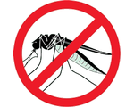 Обработка от комаров и клещей участка до 10 соток